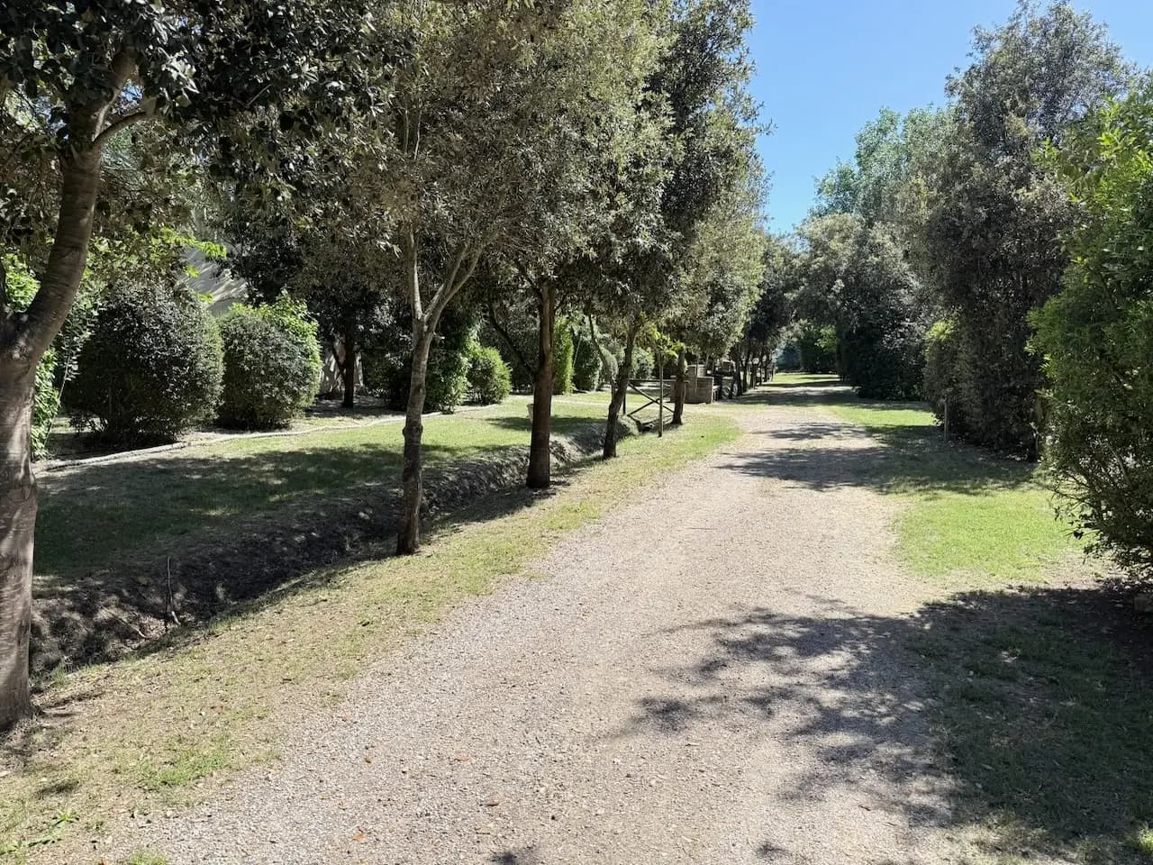 Macchia mediterranea e pineta dell'agricampeggio